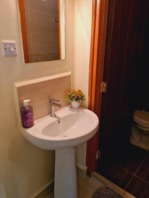 Ruaka View fully furnished one bedroom apartment